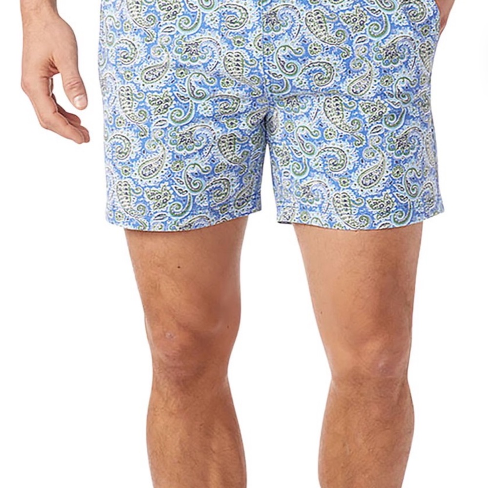 Fair Harbor Blue and Green Paisley Bungalow Liner Swim Trunks - Picture 8 of 9